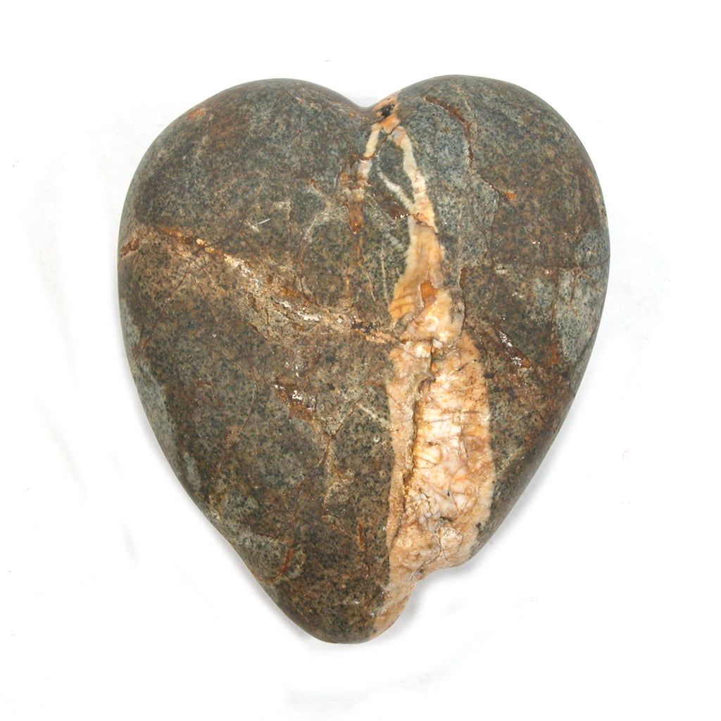 DVH Wolf Creek Radical Faerie Healed Heart Shark Palm Stone 66x56x24 (5338)