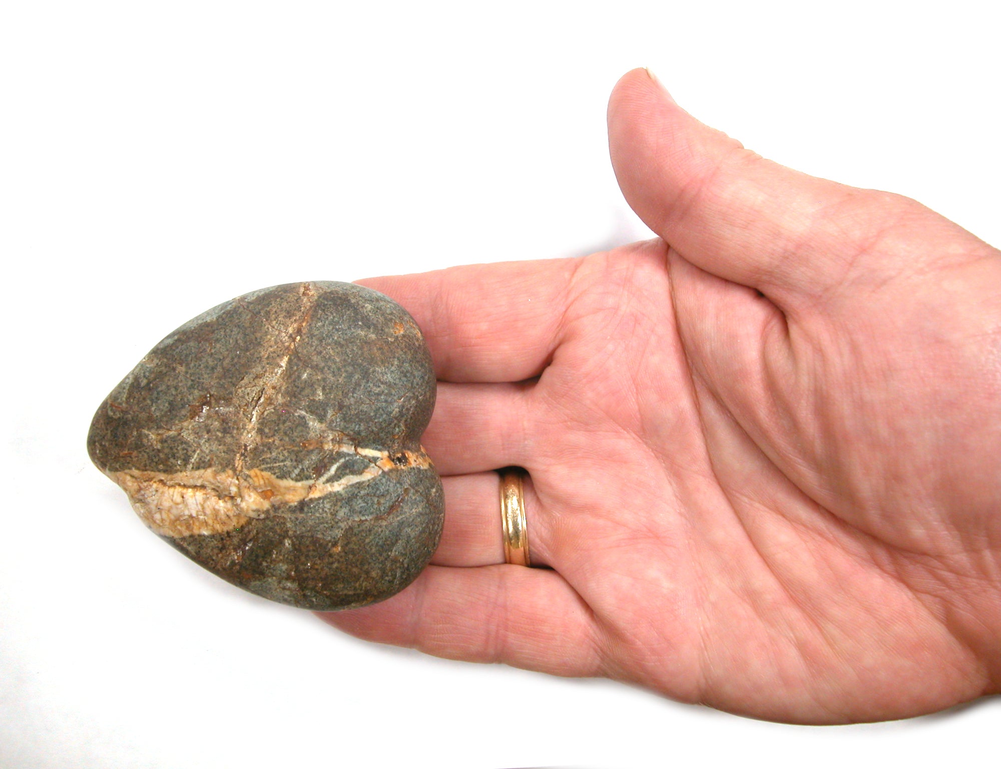 DVH Wolf Creek Radical Faerie Healed Heart Shark Palm Stone 66x56x24 (5338) - DVHdesigns