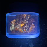1oz Fluorescent Sphalerite Chips Shaker, Horn Silver Mine, Utah, Triboluminescent!  Phosphorescent!