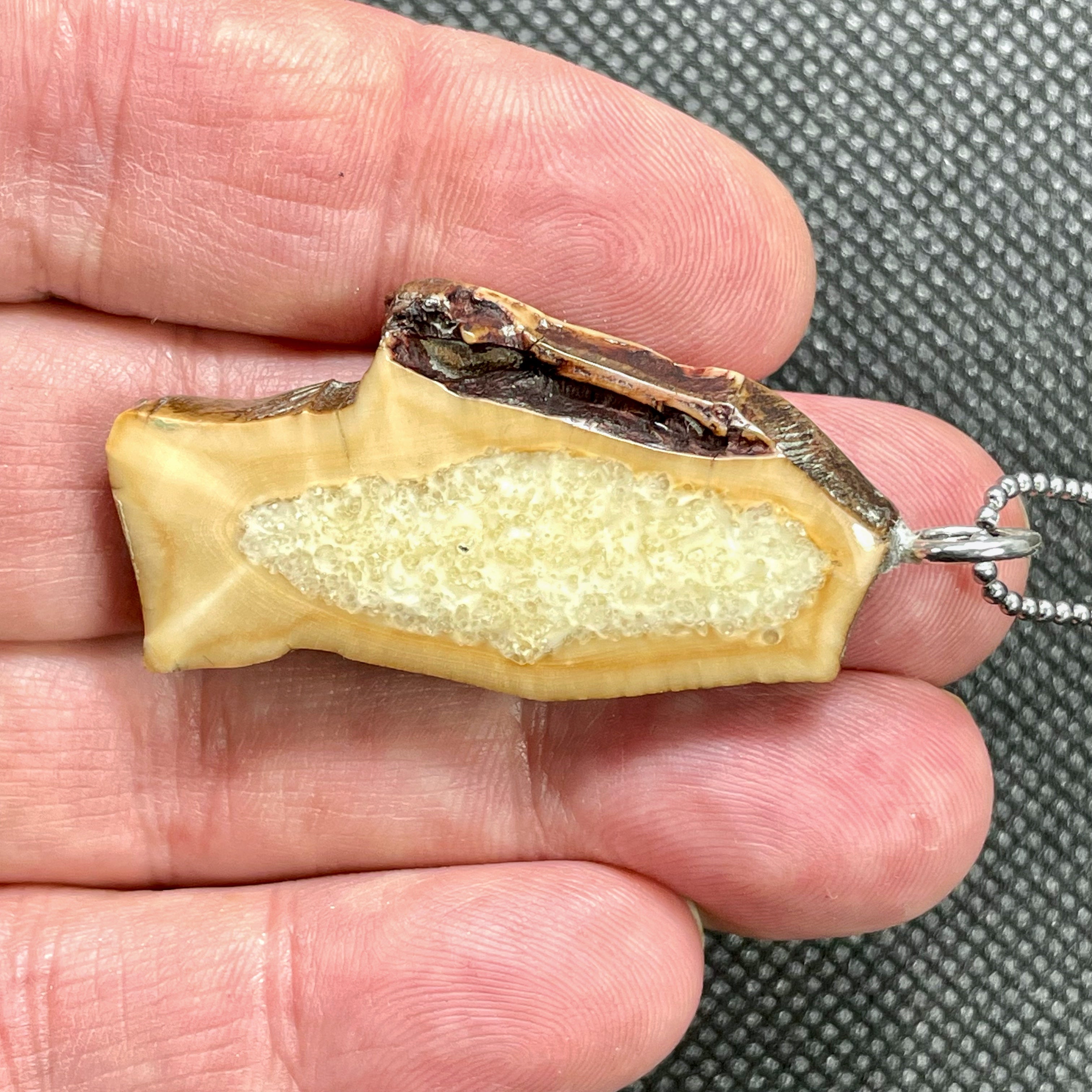 Natural Fish Pattern in Fossil Walrus Ivory! Unique Organic Design, Ancient Beauty - DVHdesigns