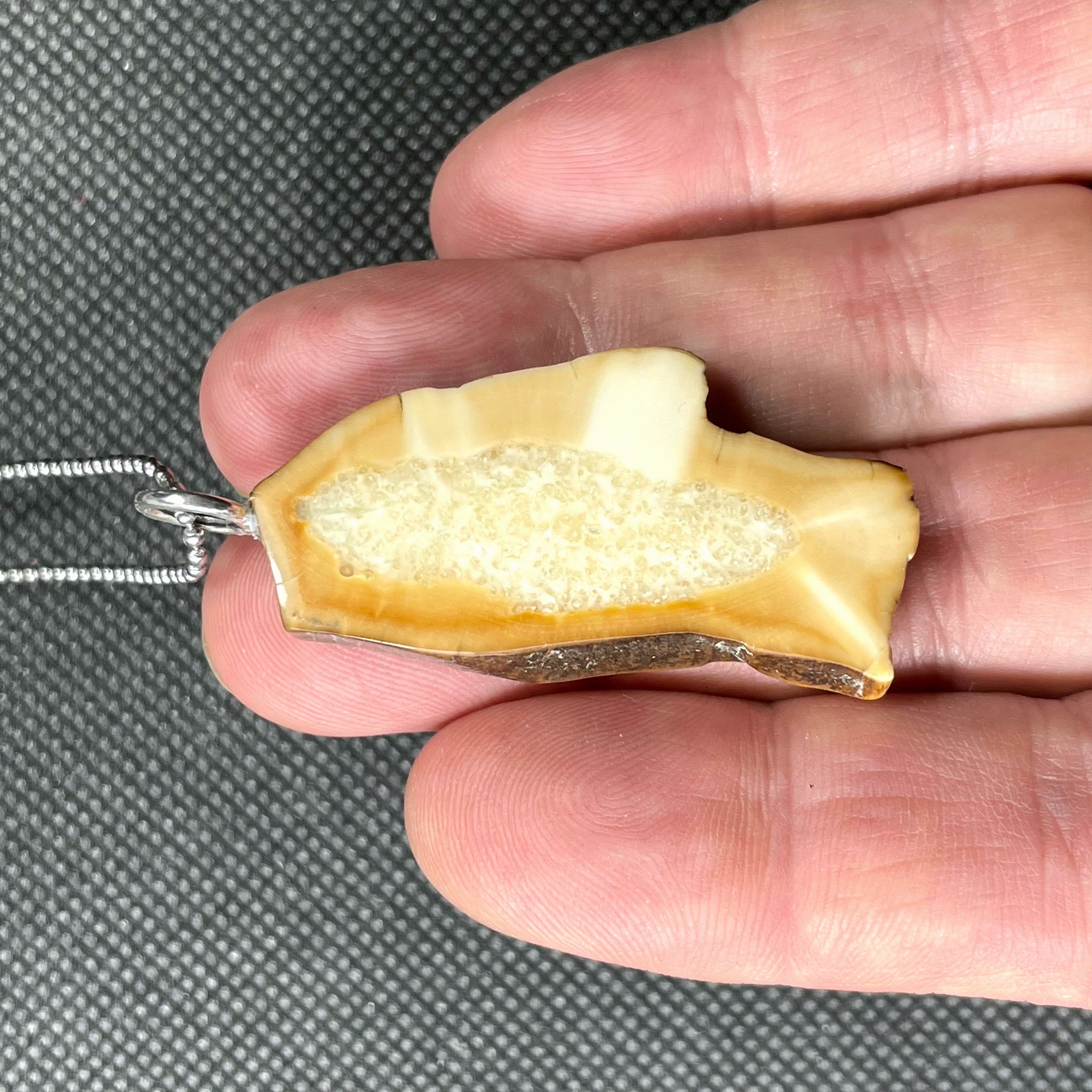 Natural Fish Pattern in Fossil Walrus Ivory! Unique Organic Design, Ancient Beauty - DVHdesigns