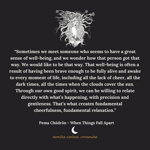 Magic Medicine Microdosing Ministry &amp; Spiritual Counseling: Guidance for Your Journey - DVHdesigns