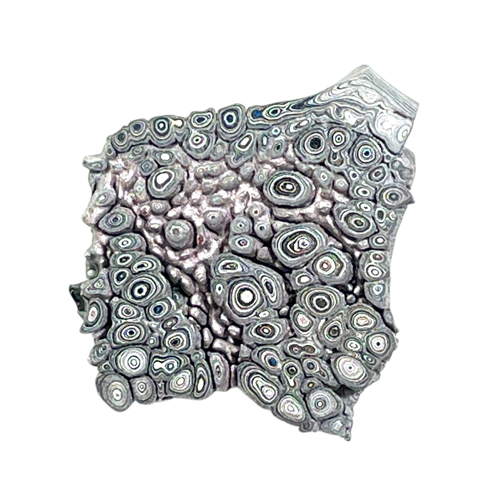 DVH Ford F150 Dragon Scale Fordite Specimen Polished Face KC Assembly (6809)
