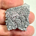 DVH Ford F150 Dragon Scale Fordite Specimen Polished Face KC Assembly (6809)