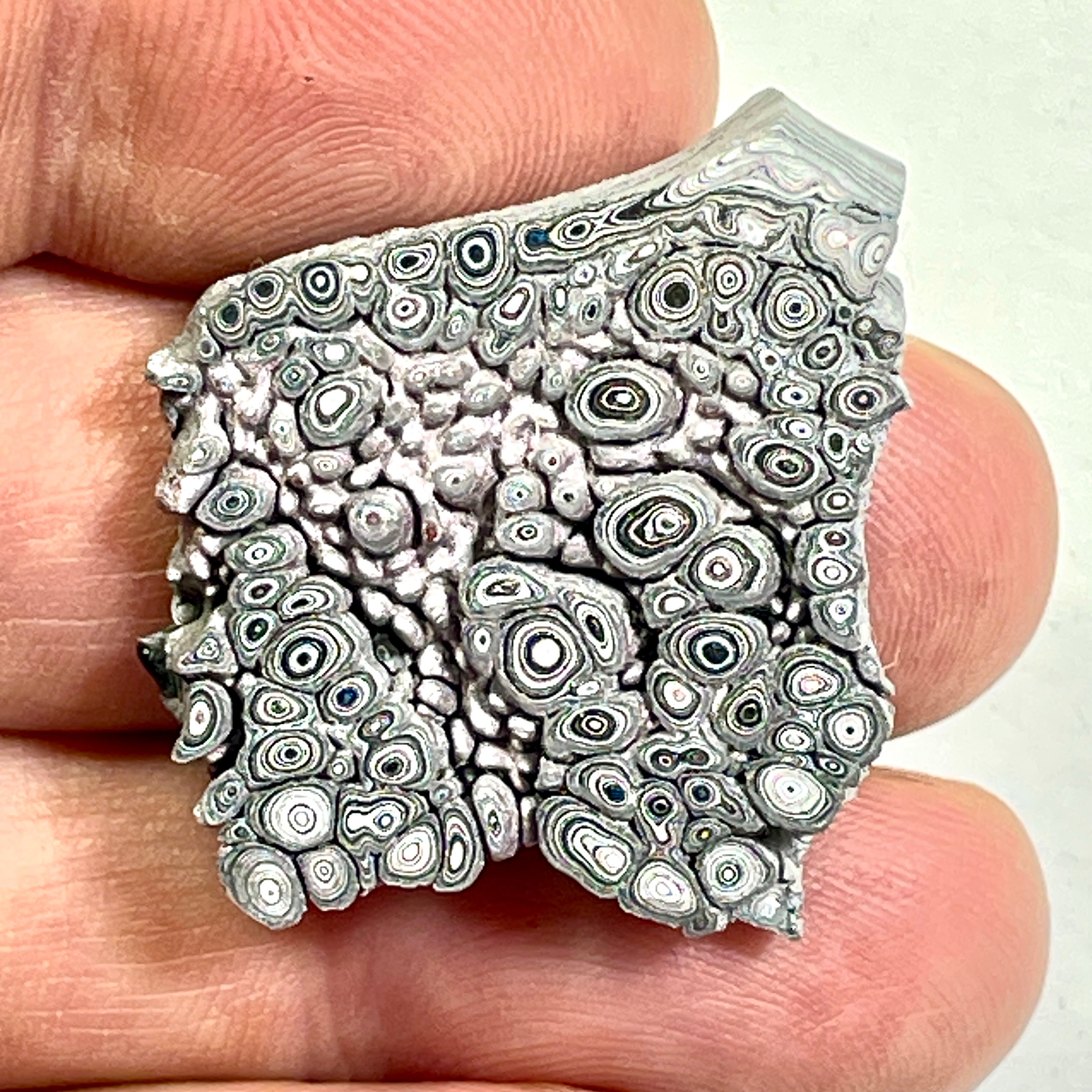 DVH Ford F150 Dragon Scale Fordite Specimen Polished Face KC Assembly (6809)