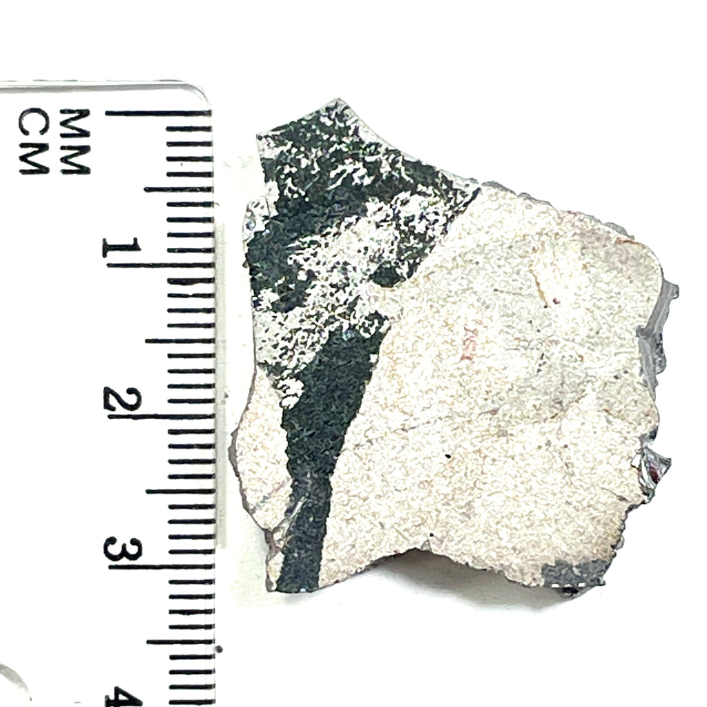 DVH Ford F150 Dragon Scale Fordite Specimen Polished Face KC Assembly (6809)