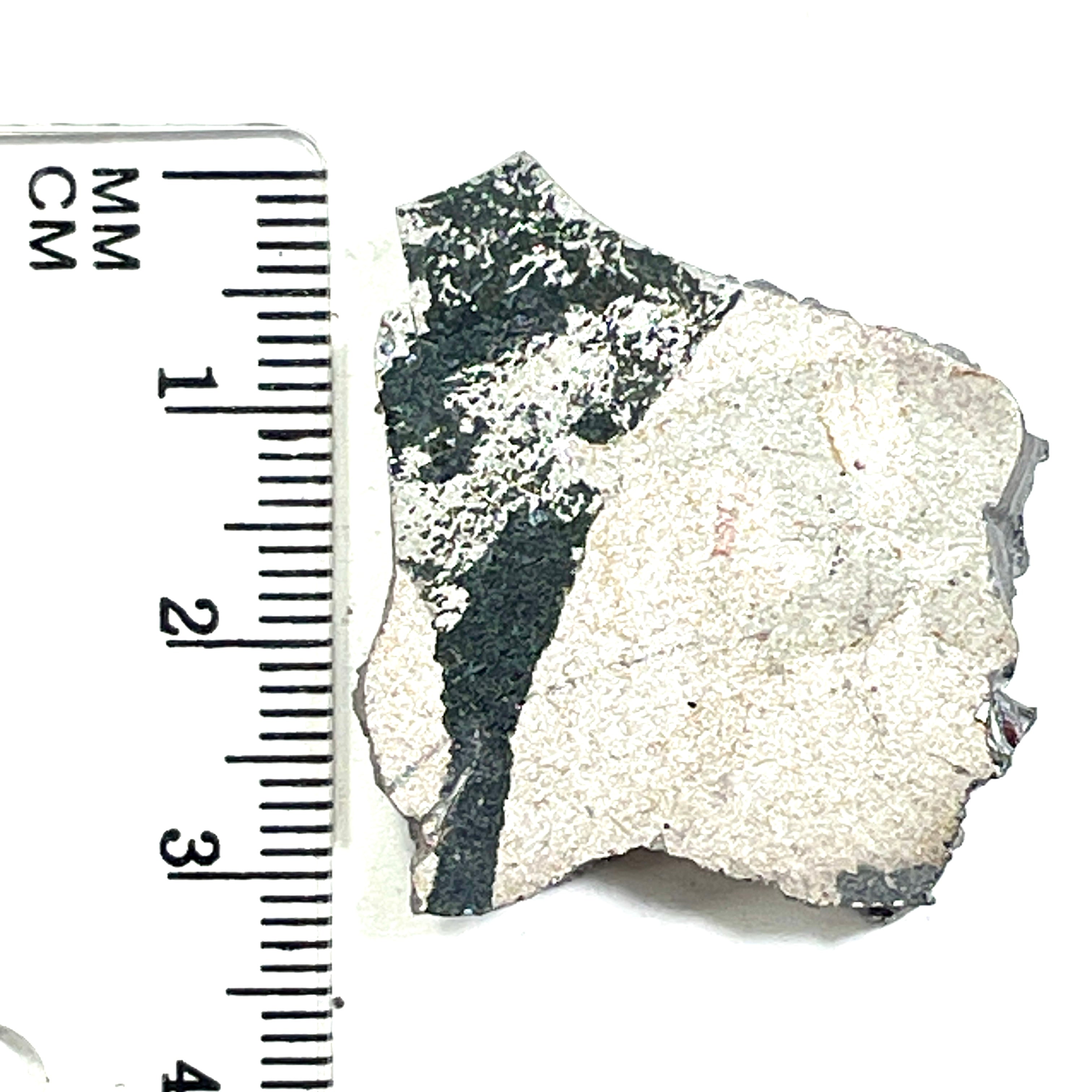 DVH Ford F150 Dragon Scale Fordite Specimen Polished Face KC Assembly (6809)