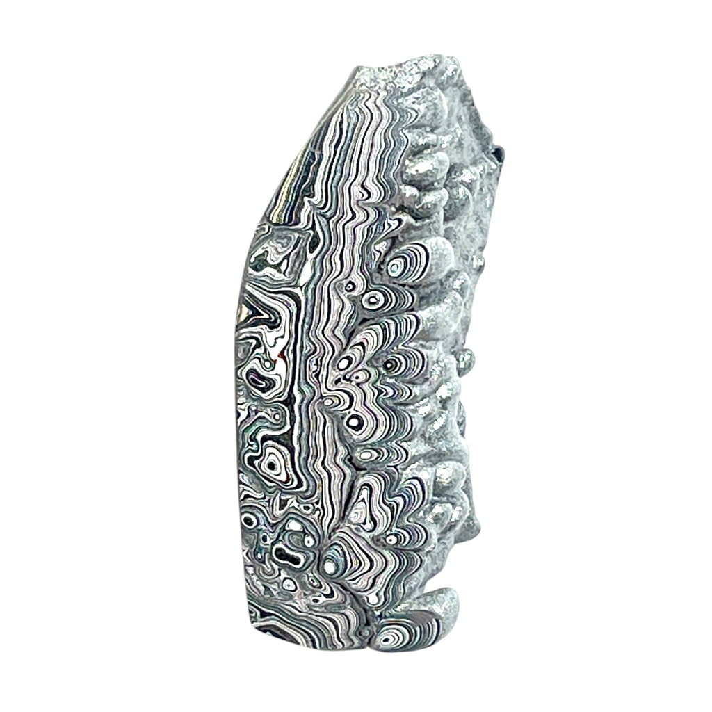 DVH Ford F150 Dragon Scale Fordite Specimen Polished Face KC Assembly (6810)