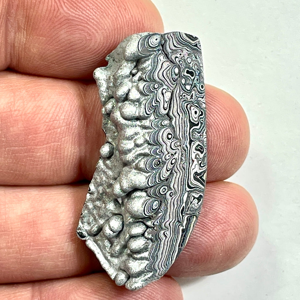 DVH Ford F150 Dragon Scale Fordite Specimen Polished Face KC Assembly (6810)