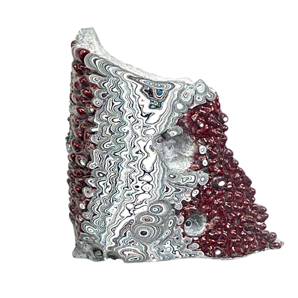 DVH Ford F150 Dragon Scale Fordite Specimen Polished Face KC Assembly (6811)