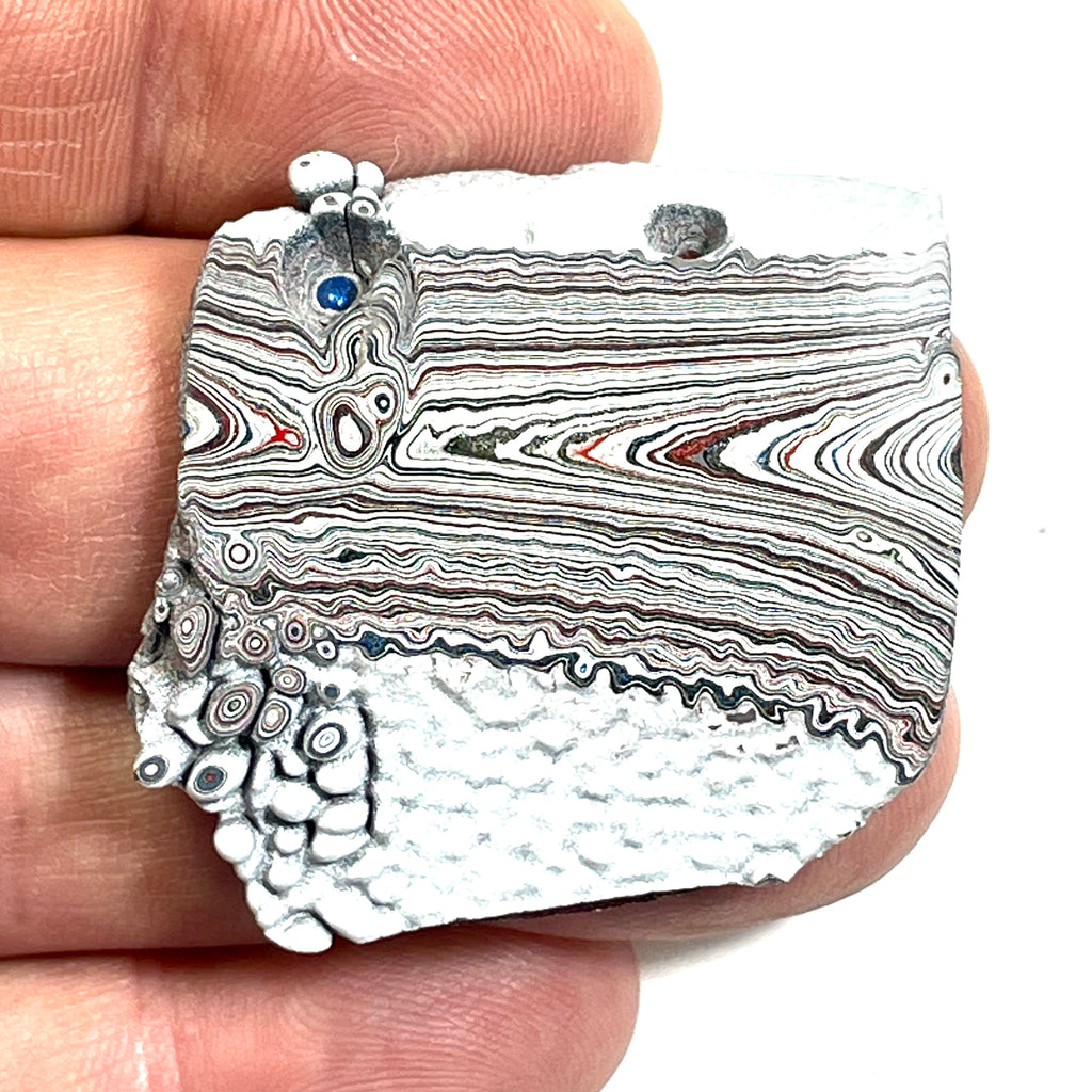 DVH Ford F150 Dragon Scale Fordite Specimen Polished Face KC Assembly (6812)