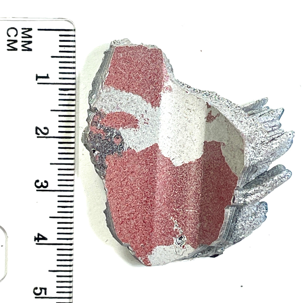 DVH Ford F150 Dragon Scale Fordite Specimen Polished Face KC Assembly (6813)