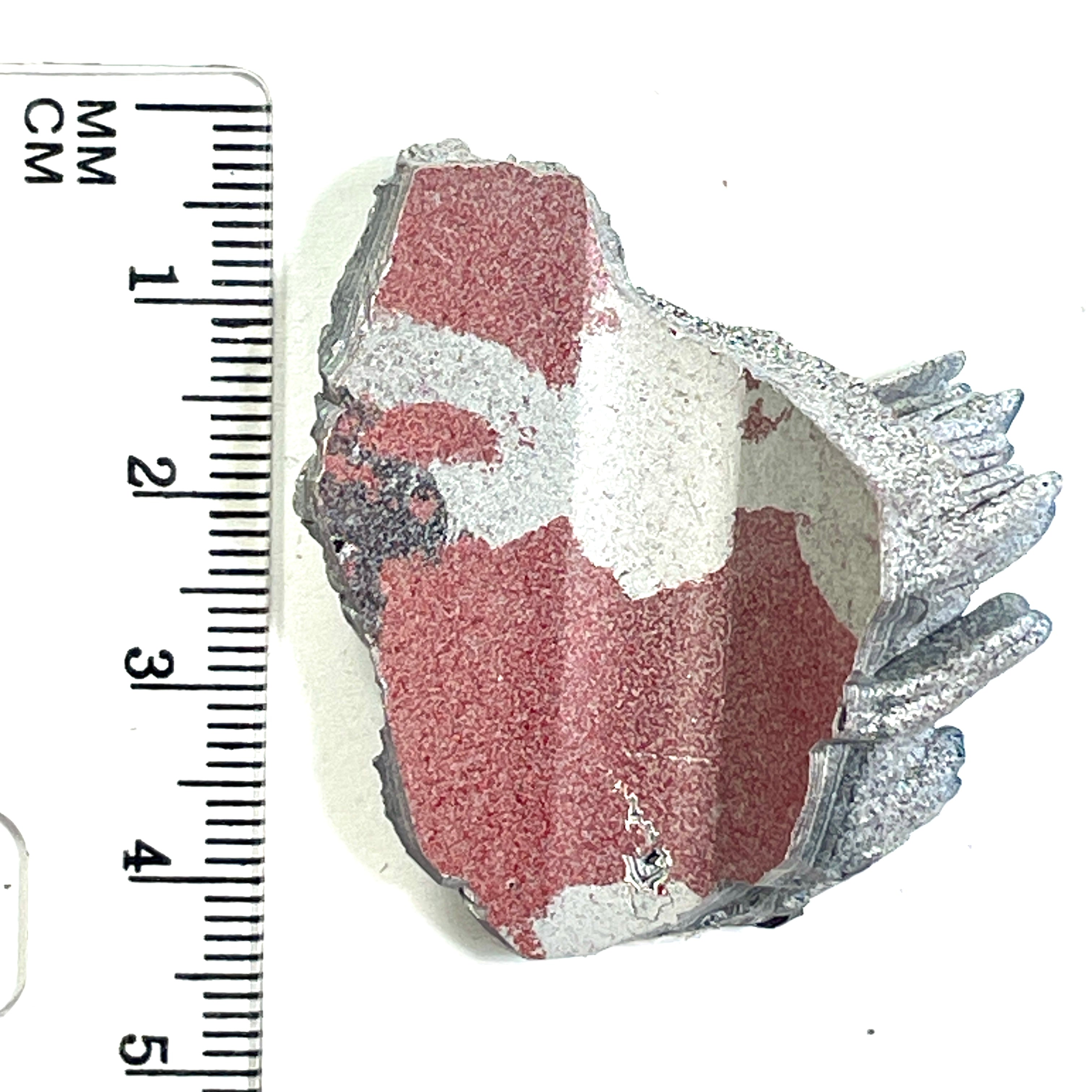 DVH Ford F150 Dragon Scale Fordite Specimen Polished Face KC Assembly (6813)