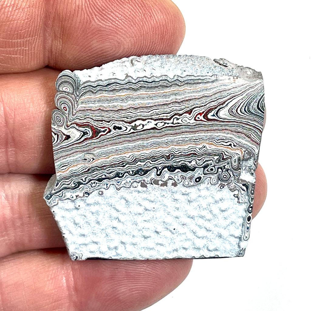 DVH Ford F150 Dragon Scale Fordite Specimen Polished Face KC Assembly (6815)