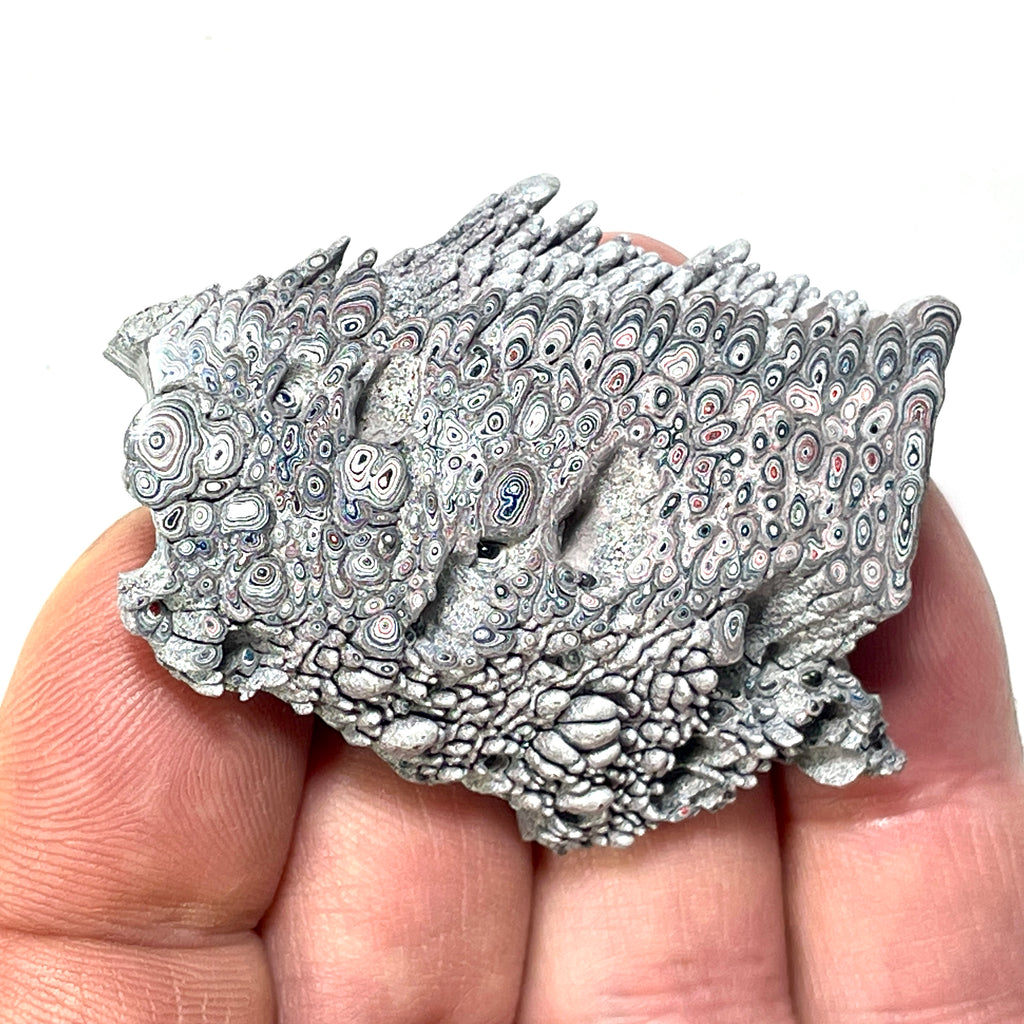 DVH Ford F150 Dragon Scale Fordite Specimen Polished Face KC Assembly (6816)
