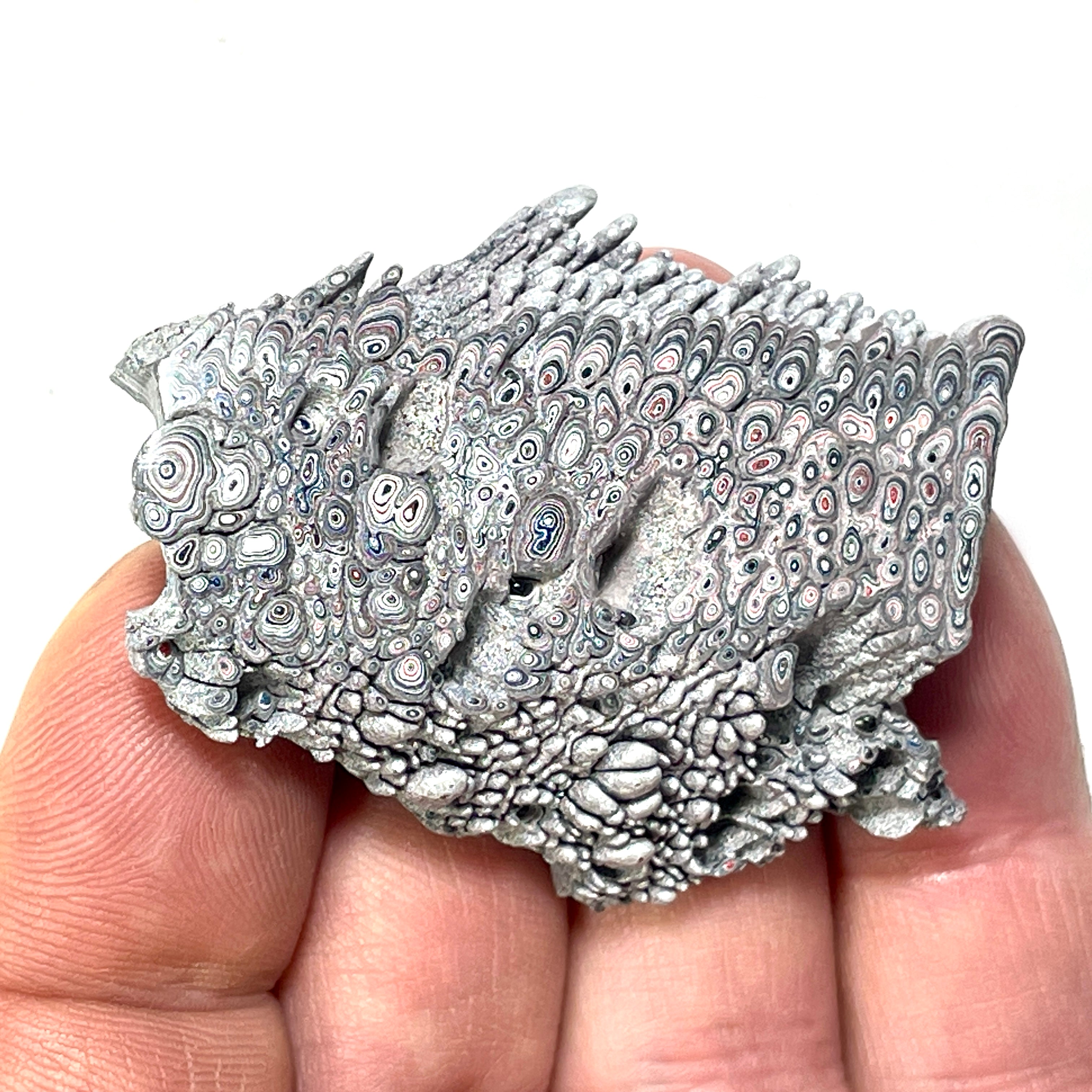 DVH Ford F150 Dragon Scale Fordite Specimen Polished Face KC Assembly (6816)