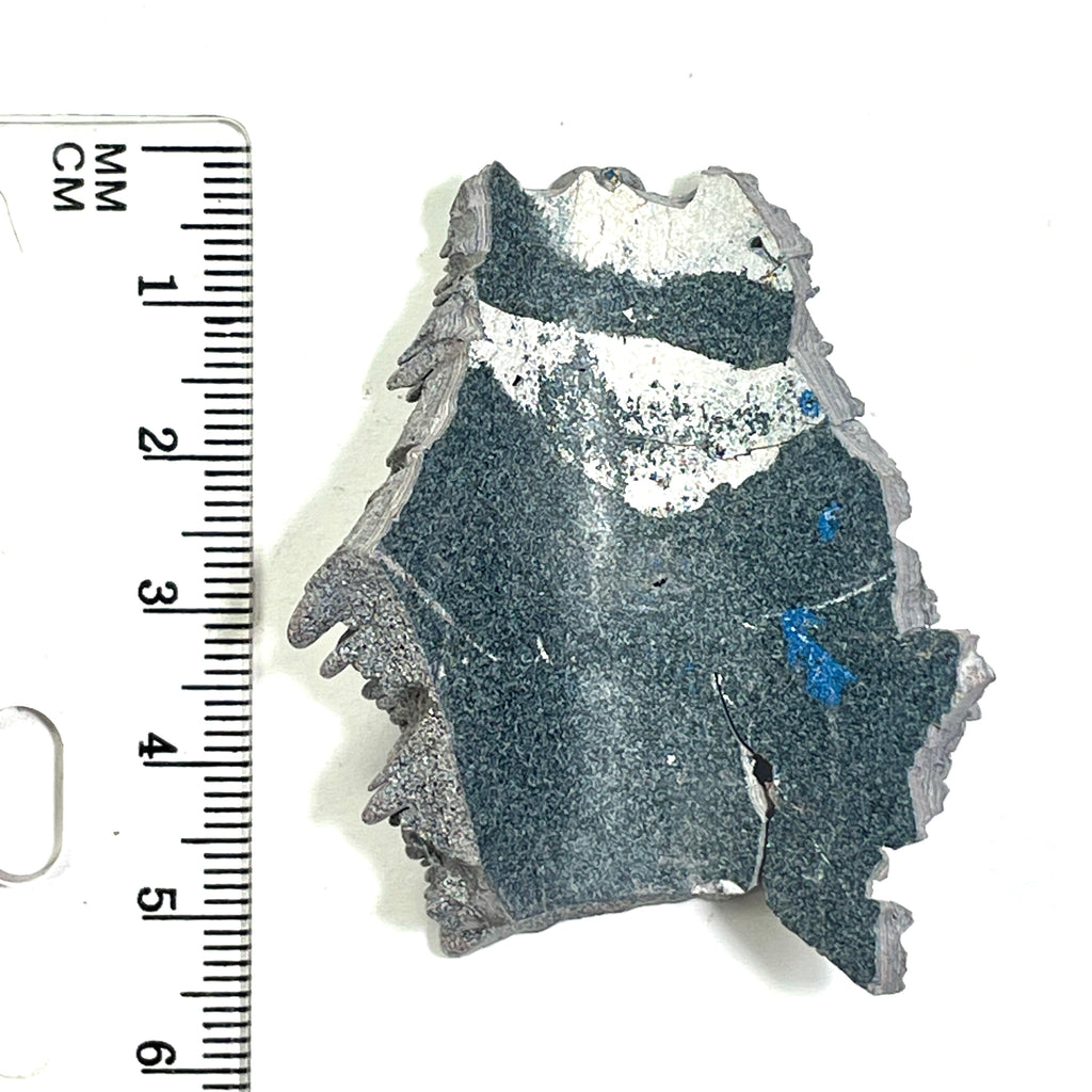 DVH Ford F150 Dragon Scale Fordite Specimen Polished Face KC Assembly (6816)