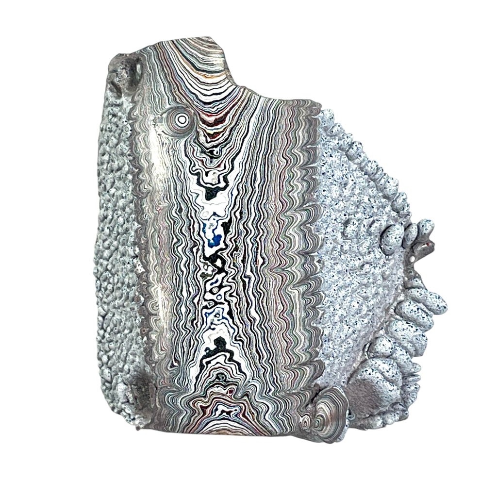 DVH Ford F150 Dragon Scale Fordite Specimen Polished Face KC Assembly (6818)