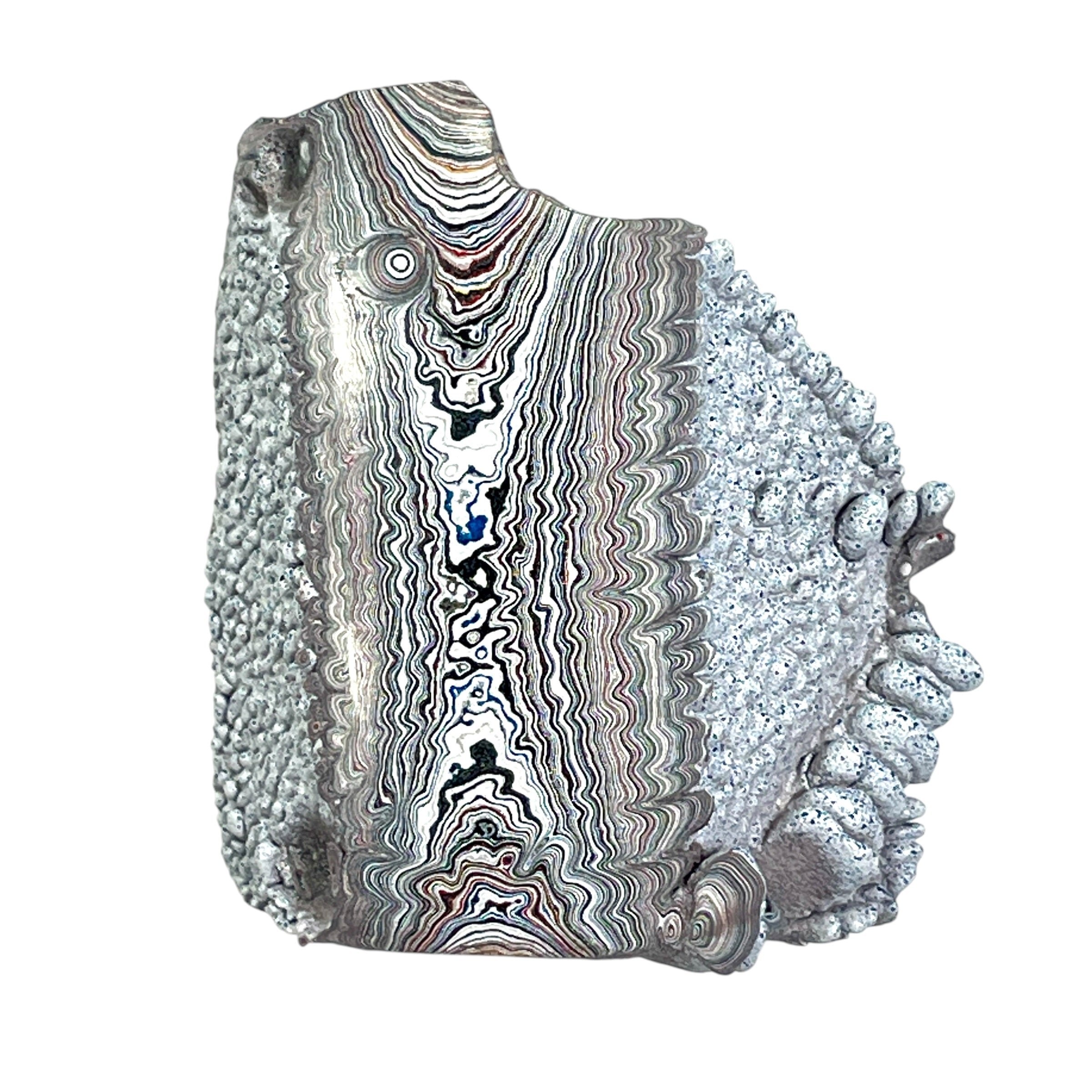 DVH Ford F150 Dragon Scale Fordite Specimen Polished Face KC Assembly (6818)