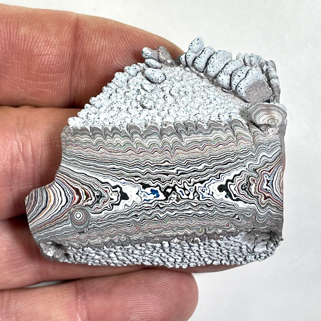 DVH Ford F150 Dragon Scale Fordite Specimen Polished Face KC Assembly (6818)