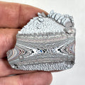 DVH Ford F150 Dragon Scale Fordite Specimen Polished Face KC Assembly (6818)