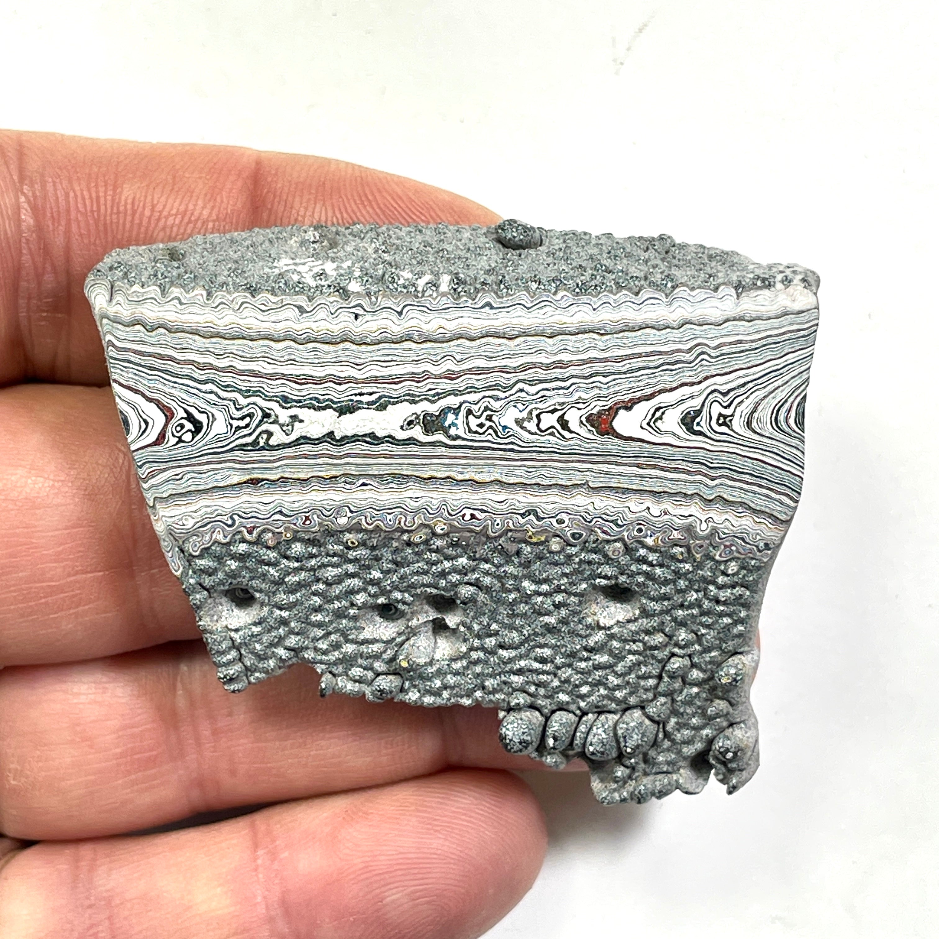 DVH Ford F150 Dragon Scale Fordite Specimen Polished Face KC Assembly (6819)