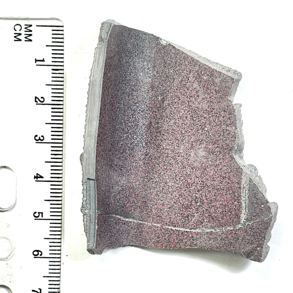 DVH Ford F150 Dragon Scale Fordite Specimen Polished Face KC Assembly (6819)