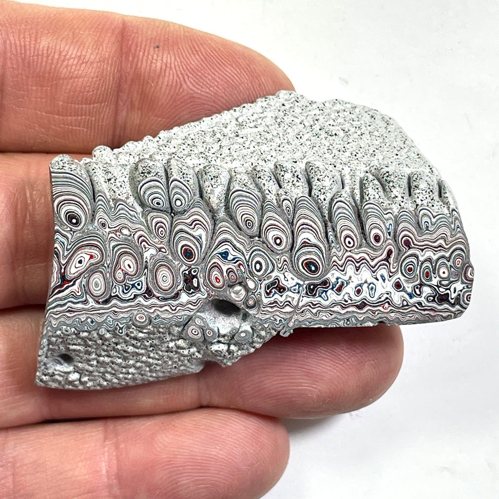 DVH Ford F150 Dragon Scale Fordite Specimen Polished Face KC Assembly (6820)