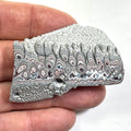 DVH Ford F150 Dragon Scale Fordite Specimen Polished Face KC Assembly (6820)