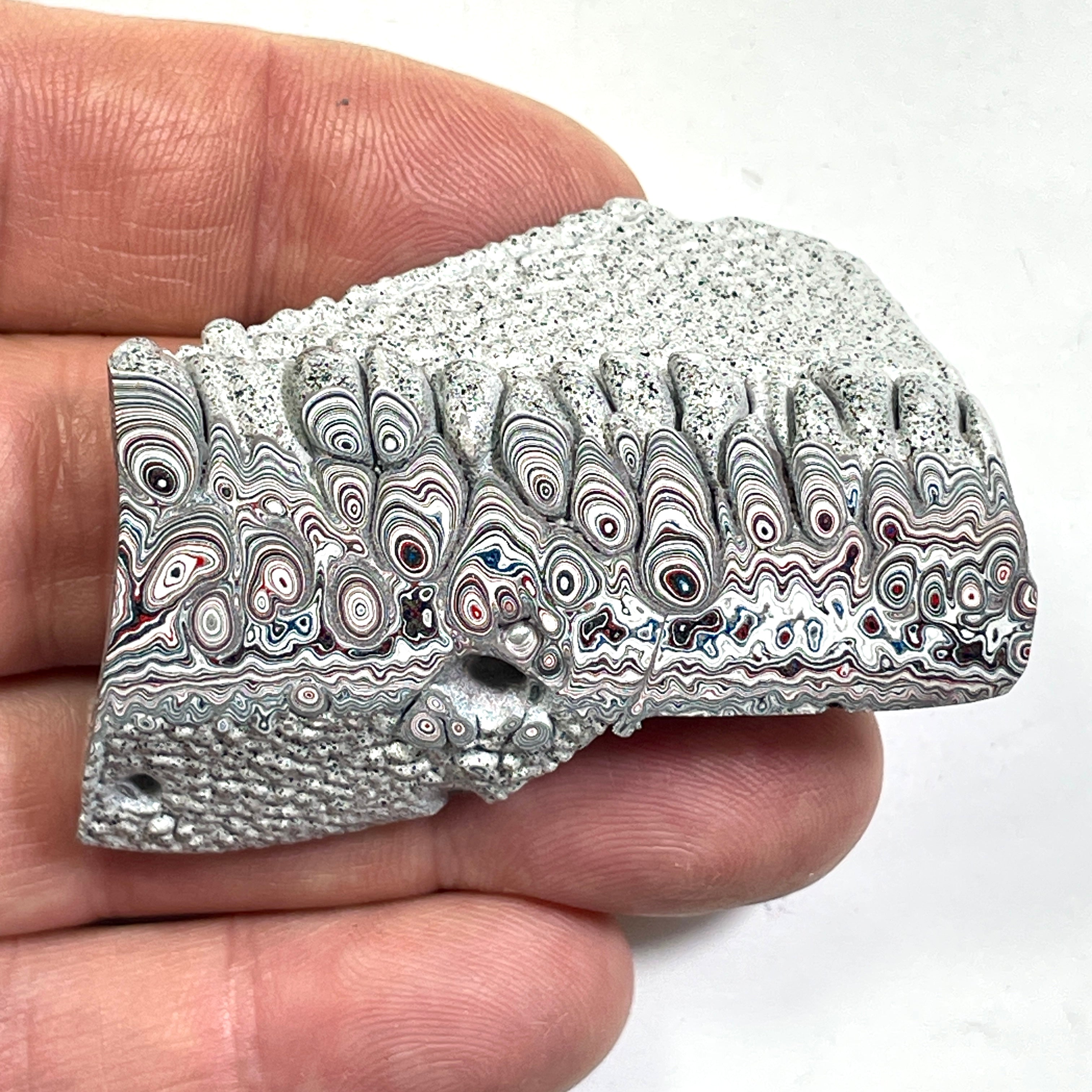 DVH Ford F150 Dragon Scale Fordite Specimen Polished Face KC Assembly (6820)
