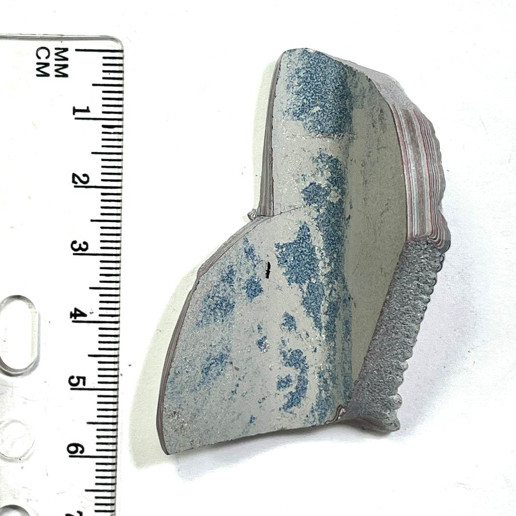 DVH Ford F150 Dragon Scale Fordite Specimen Polished Face KC Assembly (6820)