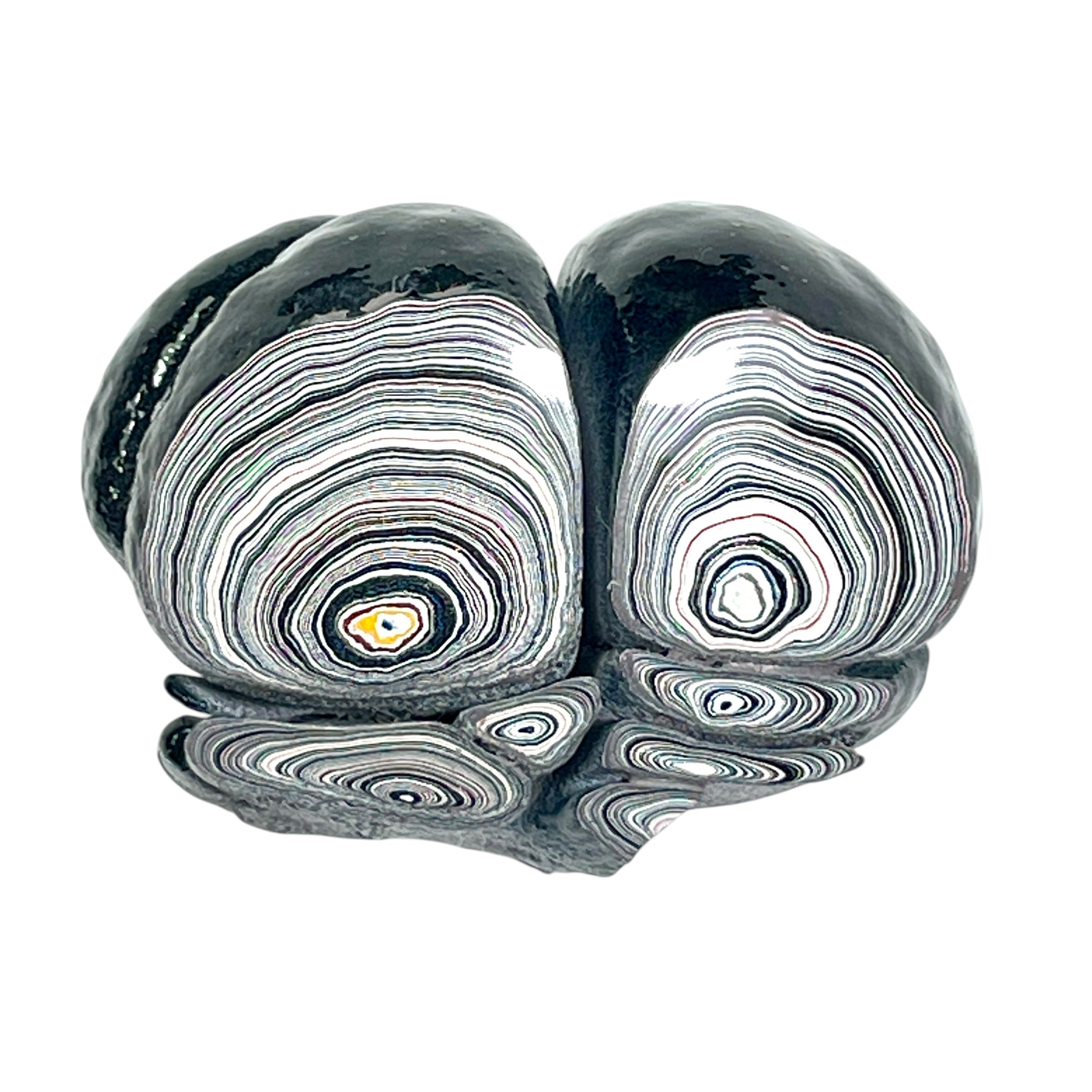 DVH Ford F150 Fordite Specimen Polished Face KC Assembly (6821)