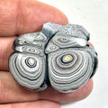 DVH Ford F150 Fordite Specimen Polished Face KC Assembly (6821)
