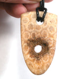 DVH Agatized Fossil Coral Shield Pendant Butt Hole 50x29x5mm Private Collection (5616)