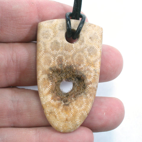 DVH Agatized Fossil Coral Shield Pendant Butt Hole 50x29x5mm Private Collection (5616)