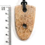 DVH Agatized Fossil Coral Shield Pendant Butt Hole 50x29x5mm Private Collection (5616)