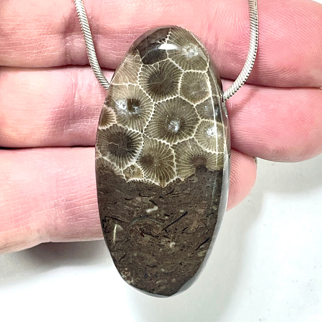 DVH Petoskey Stone Fossil Graveyard Bead Pendant Michigan Coral 52x26x12mm (6211) - DVHdesigns
