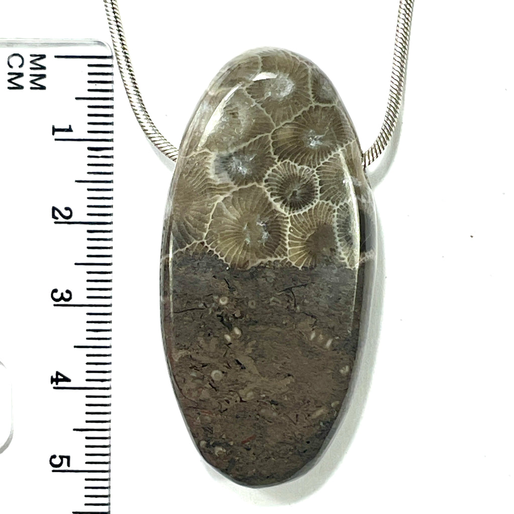 DVH Petoskey Stone Fossil Graveyard Bead Pendant Michigan Coral 52x26x12mm (6211) - DVHdesigns