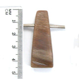 DVH Petrified Sycamore Wood Matte Bead Pendant Badger Pocket WA 44x17x11 (5254)