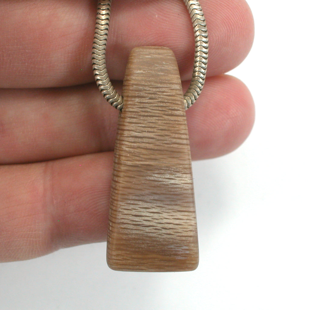 DVH Petrified Sycamore Wood Matte Bead Pendant Badger Pocket WA 44x16x9 (5255) - DVHdesigns