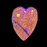 DVH Yooperlite Healed Broken Heart Bead Fluorescent Sodalite Michigan 45x34x12mm (6279)
