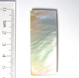 DVH Fossil Dinosaur Bone "Biopsy" Mother-of-Pearl Doublet Rectangle Cabochon 53x20x2 (8231) - DVHdesigns