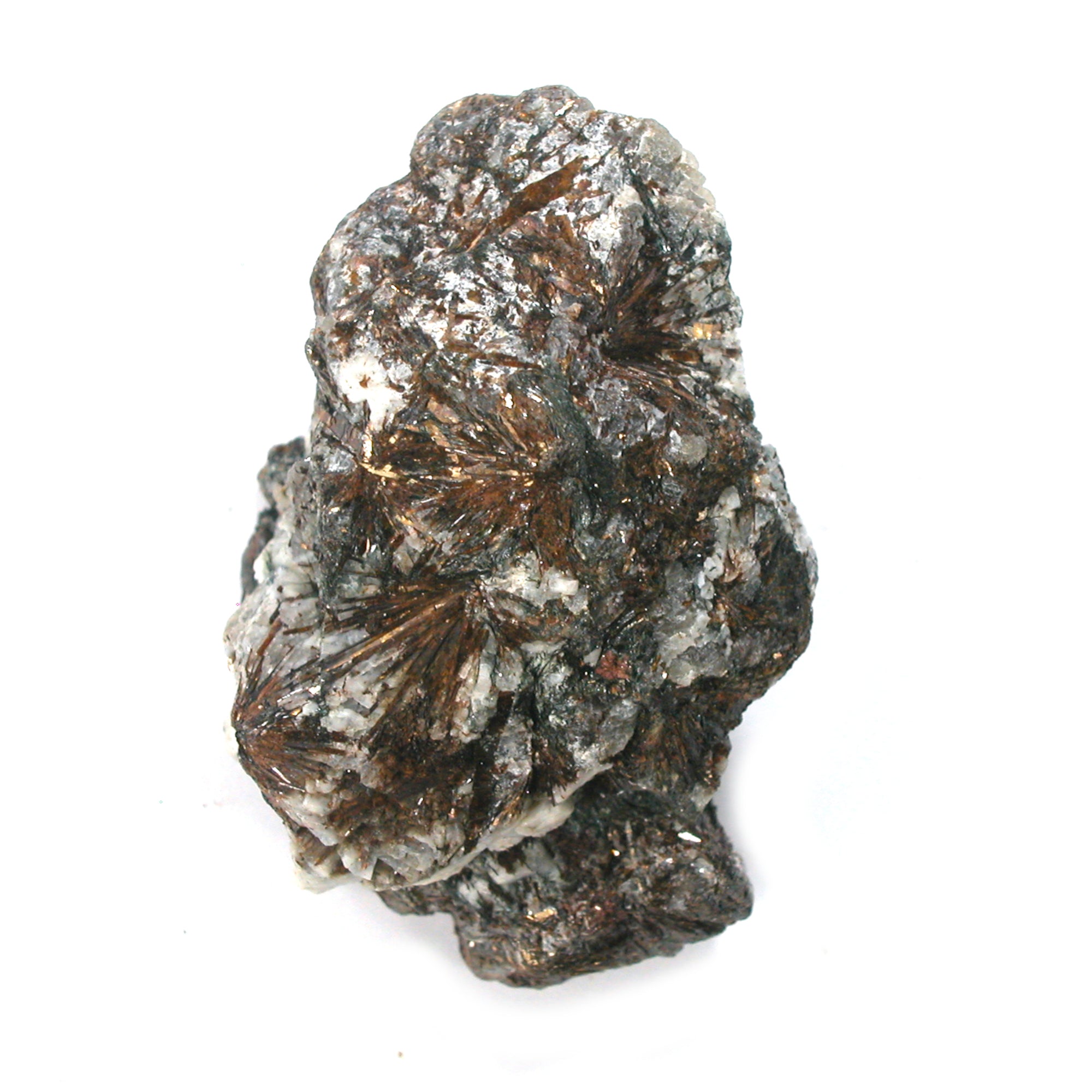 DVH 76g Astrophyllite Specimen Druzy Fireworks Stone for Wirewrap 61x42x29mm (5198) - DVHdesigns