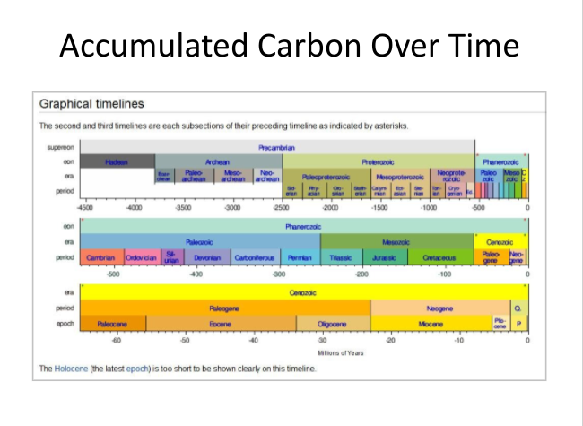 LECTURE RECORDING:  The History of Jet and Mourning Jewelry. - DVHdesigns