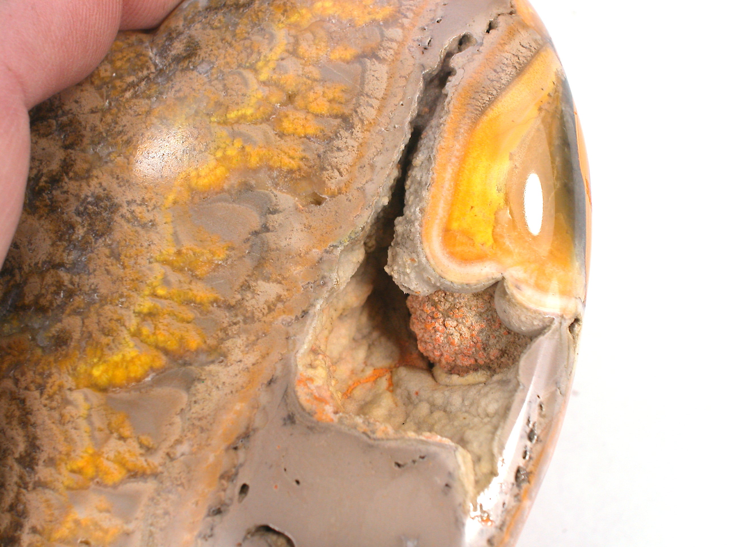 DVH 420g 14.8oz Bumble Bee Jasper Calcite BIG Heart Cavity Orange 104x99x29 (4020) - DVHdesigns