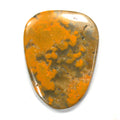 DVH Bumble Bee Jasper Calcite Cabochon 2 Sided 49x37x6 (4078) - DVHdesigns