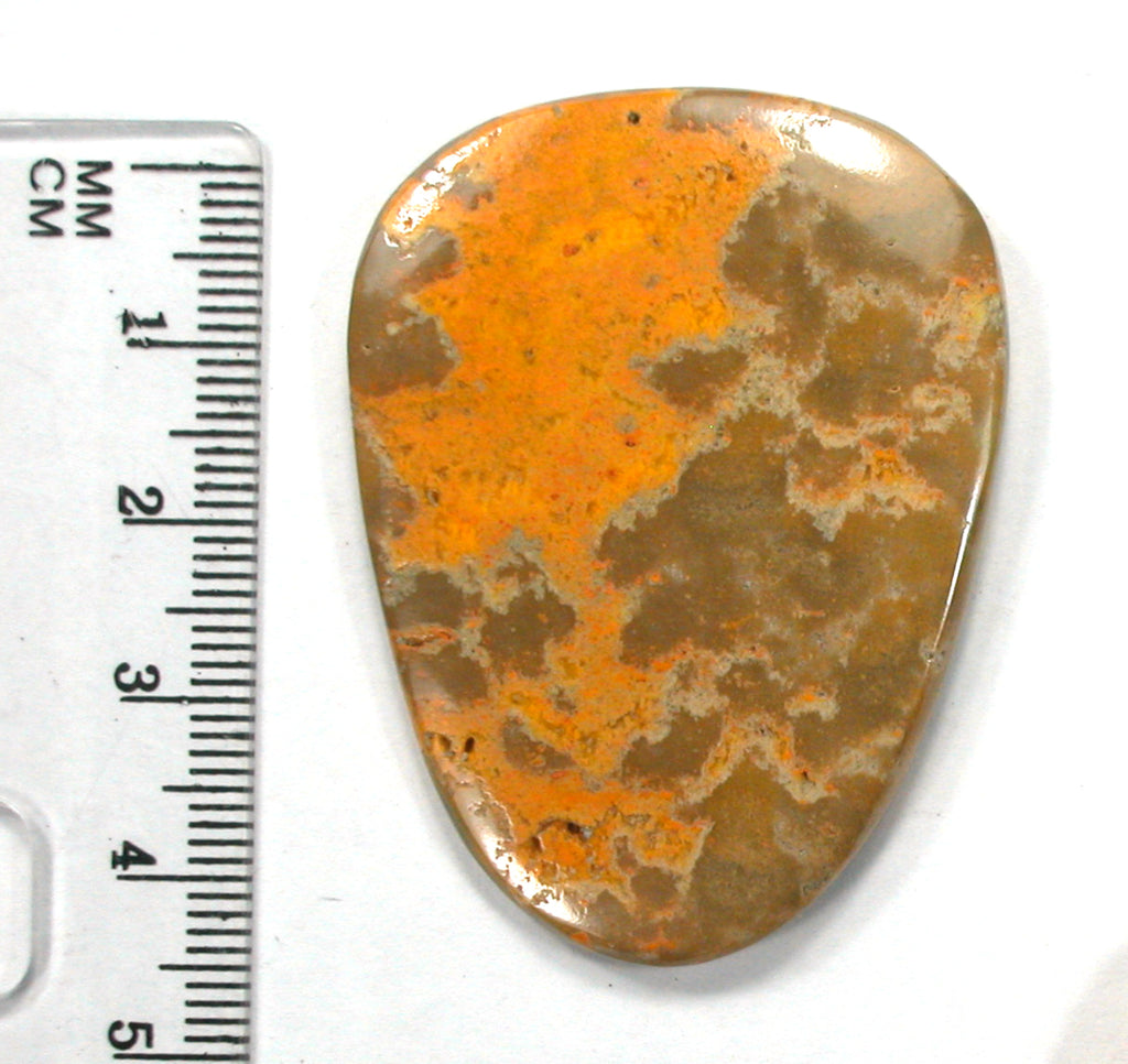 DVH Bumble Bee Jasper Calcite Cabochon 2 Sided 49x37x6 (4078) - DVHdesigns