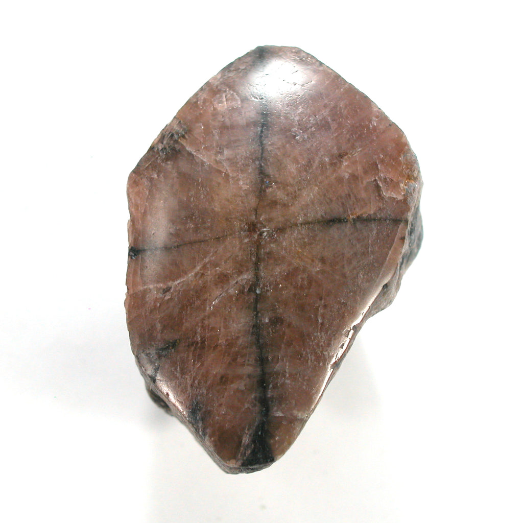 DVH 5oz Chiastolite Andalusite Fairy Cross Polished Face Crystal Rough 48x54x36mm  (4561)