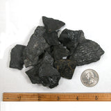 DVH Genuine Lignite Coal 2oz Gift Box Tennessee Mineral Specimen Carbon Crystals