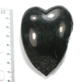 DVH 76g American Shungite Lignite Coal Heart Fossil Fuel Climate Grief Healing Crystal 76x55x27 (4592)
